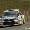 DSC_1484 Kopie